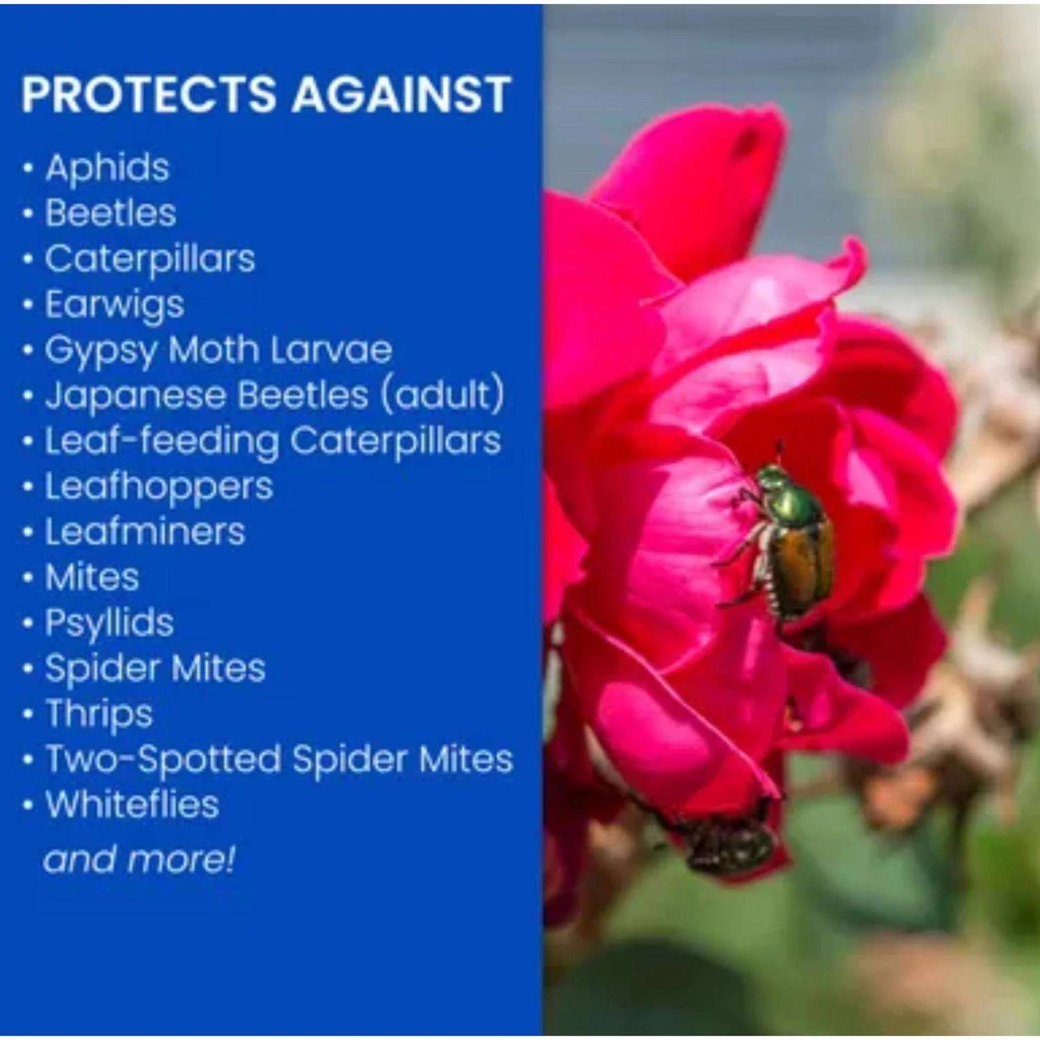 BioAdvanced 3-in-1 Insect, Disease & Mite Control Liquid 32 Oz 3 BioAdvanced 3-in-1 Insect, Disease & Mite Control Liquid 32 Oz - Image 3