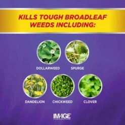 Lilly Miller Image Weed Killer RTS Hose-End Concentrate 32 Oz -Toro Shop 04b06208 00e2 4b2f bd1e bc5d0a367a30