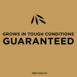 Scotts EZ Seed Bermuda Grass Sun Or Shade Grass Spot Repair Seed 3.75 Lb -Toro Shop 04dbd036 bb5d 4202 9d1c b6efb778a8f4