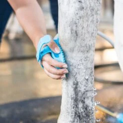 Aquapaw Grooming Brush For Horse 14 Aquapaw Grooming Brush For Horse -Toro Shop 0804a204 b076 4919 911e add476cb4c12