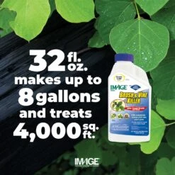 Lilly Miller Image Brush And Vine Killer Concentrate 1 Qt -Toro Shop 0918d63e 3d44 4baf b237 e62a0bf214a3