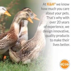 K&H Pet Prodcuts 120 V Fount Heater Base For Game Birds/Poultry -Toro Shop 0ab03e1e 8808 498f 900f 19e96cac5f48