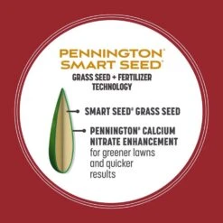 Pennington Smart Seed Perennial Ryegrass Sun Or Shade Grass Seed And Fertilizer 3 Lb -Toro Shop 0b2f06d9 ca2b 4da0 8d68 d719e8900242