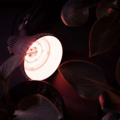 Stonepoint Hydroponic Grow Light 13 W LED -Toro Shop 0ca1cec9 6197 430d 826e d341be14231c