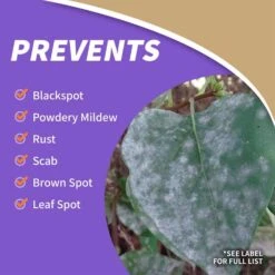 Bonide Tomato & Vegetable 3 In 1 Organic 3 In 1 Garden Insect Spray Liquid 32 Oz -Toro Shop 0ce31cd7 0bbe 4fb2 82b7 5231cd87afda