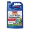 BioAdvanced Weed And Crabgrass Killer RTU Liquid 1 Gal