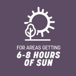 Pennington Annual Ryegrass Sun Or Shade Grass Seed 10 Lb -Toro Shop 11d1e404 7f3c 407a a172 43f3b28849f2