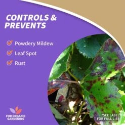 Bonide Sulfur Organic Concentrated Dust Fungicide 4 Lb -Toro Shop 12164408 ec07 4f44 969b bf3ef38cc43b