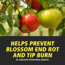 General Hydroponics Calimagic Liquid Plant Supplement 1 Qt -Toro Shop 181d01d5 4f55 484c 9334 e1a9a2cf3431