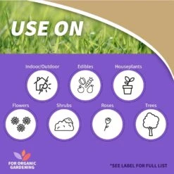 Bonide Rose Rx Organic Concentrated Liquid Disease Control 16 Oz -Toro Shop 1a4caeb1 1c66 4336 a25d 9c362650caa8