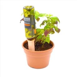 Bosmere Clay Clay Wine Bottle Drinks -Toro Shop 1a8cc232 547a 43b4 965a dfbd46eab77b