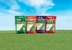 Ace 4 Step Annual Program Lawn Fertilizer For All Grasses 5000 Sq Ft 13 Ace 4 Step Annual Program Lawn Fertilizer For All Grasses 5000 Sq Ft -Toro Shop 1ad67ab7 ef82 4bb6 a9c3 479a450cb52e