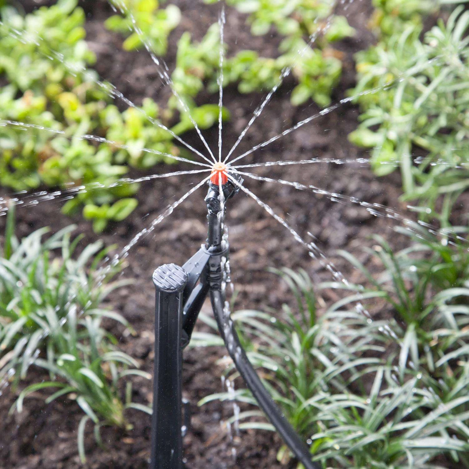 Raindrip Full-Circle Drip Irrigation Micro Spray 20 Gph 10 Pk 2 Raindrip Full-Circle Drip Irrigation Micro Spray 20 Gph 10 Pk - Image 2