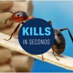 BioAdvanced Home Pest Control Insect Killer Liquid 1 Gal 8 BioAdvanced Home Pest Control Insect Killer Liquid 1 Gal -Toro Shop 1b2b5bb8 1f4b 436e a7e2 81b99c3f0051