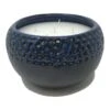 Patio Essentials 5 Wick Citronella Candle Solid For Flying Insects 50 Oz