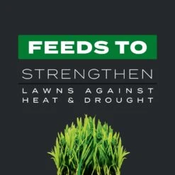 Scotts Turf Builder Southern Triple Action Weed & Feed Lawn Fertilizer For All Grasses 8000 Sq Ft -Toro Shop 1d17da1f e88c 41ee 8755 884d3a02b667