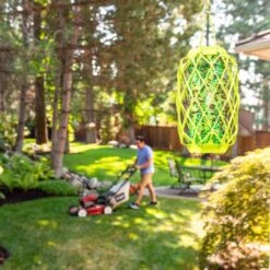 RESCUE TrapStik Insect Trap 1 Pk -Toro Shop 1ebbb001 9394 4e8f 8692 f021f55defb7