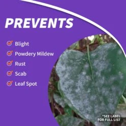 Bonide Infuse Killer RTS Hose-End Concentrate 32 Oz -Toro Shop 1fc662b3 52a6 41d2 9170 b3c965325143