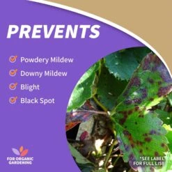 Bonide Organic Liquid Fungicide 32 Oz -Toro Shop 21926f0b d5ee 418c aaca bbef36e924b3