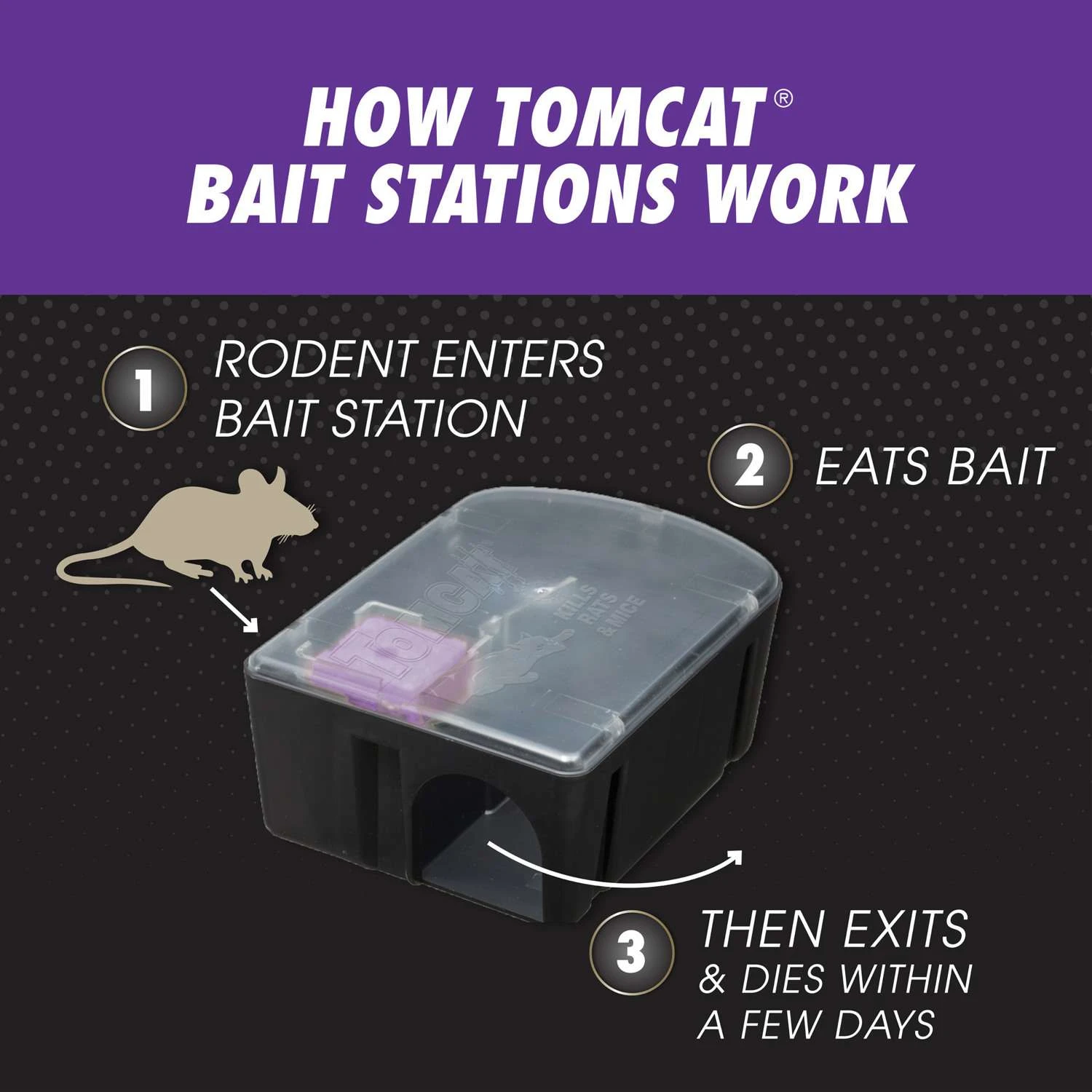 Tomcat Advanced Bait Station And Bait Blocks For Rats 12 Pk 5 Tomcat Advanced Bait Station And Bait Blocks For Rats 12 Pk - Image 5