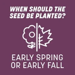 Pennington The Rebels Tall Fescue Grass Dense Shade Grass Seed 3 Lb -Toro Shop 250683ad d2eb 4b5a bf6f 9cfe3f600efe