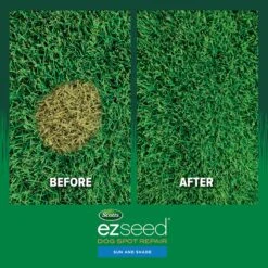 Scotts EZ Seed Mixed Sun Or Shade Pet/Dog Spot Grass Repair Seed 2 Lb -Toro Shop 259fac7b d89d 44bd b008 50f6bc546fb6