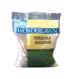 Barenbrug Wonderlawn Bahia Grass Full Sun Grass Seed 2 Lb