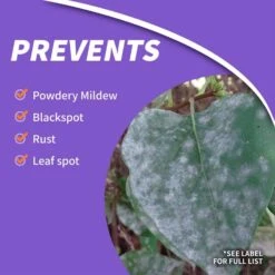 Bonide Rose Shield 3 In 1 Garden Insect Spray Liquid 1 Gal -Toro Shop 27416de6 58ac 4b0e b614 8853d0e4bf6d