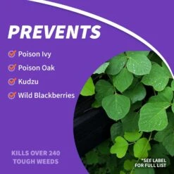 Bonide Brush Beater Brush Killer Concentrate 1 Gal -Toro Shop 28c76108 ad97 4f2a a022 4fcbd47ebb64