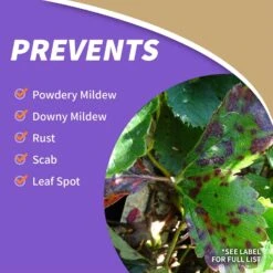 Bonide Bon-Neem II Organic 3 In 1 Garden Insect Spray Liquid 32 Oz 13 Bonide Bon-Neem II Organic 3 In 1 Garden Insect Spray Liquid 32 Oz -Toro Shop 29e3d18b 7c96 4bd8 a680 2eee0083ea4a