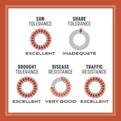 Pennington Bermuda Grass Full Sun Grass Seed 15 Lb -Toro Shop 2c3342d6 f170 46a5 8561 617dd40a7df3