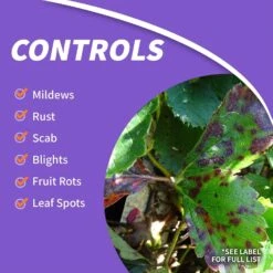 Bonide Fung-onil Concentrated Liquid Fungicide 16 Oz -Toro Shop 2f089e01 bc8d 42d9 99a7 020939183ca4