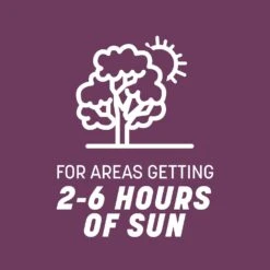 Pennington The Rebels Tall Fescue Grass Partial Shade/Sun Grass Seed 20 Lb -Toro Shop 2f58024c 4fd9 467c 8a53 5fbb62bb30af