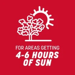 Pennington The Rebels Tall Fescue Grass Sun Or Shade Grass Seed 7 Lb -Toro Shop 2fcf1718 4201 4c77 9a44 06b6e8468bab