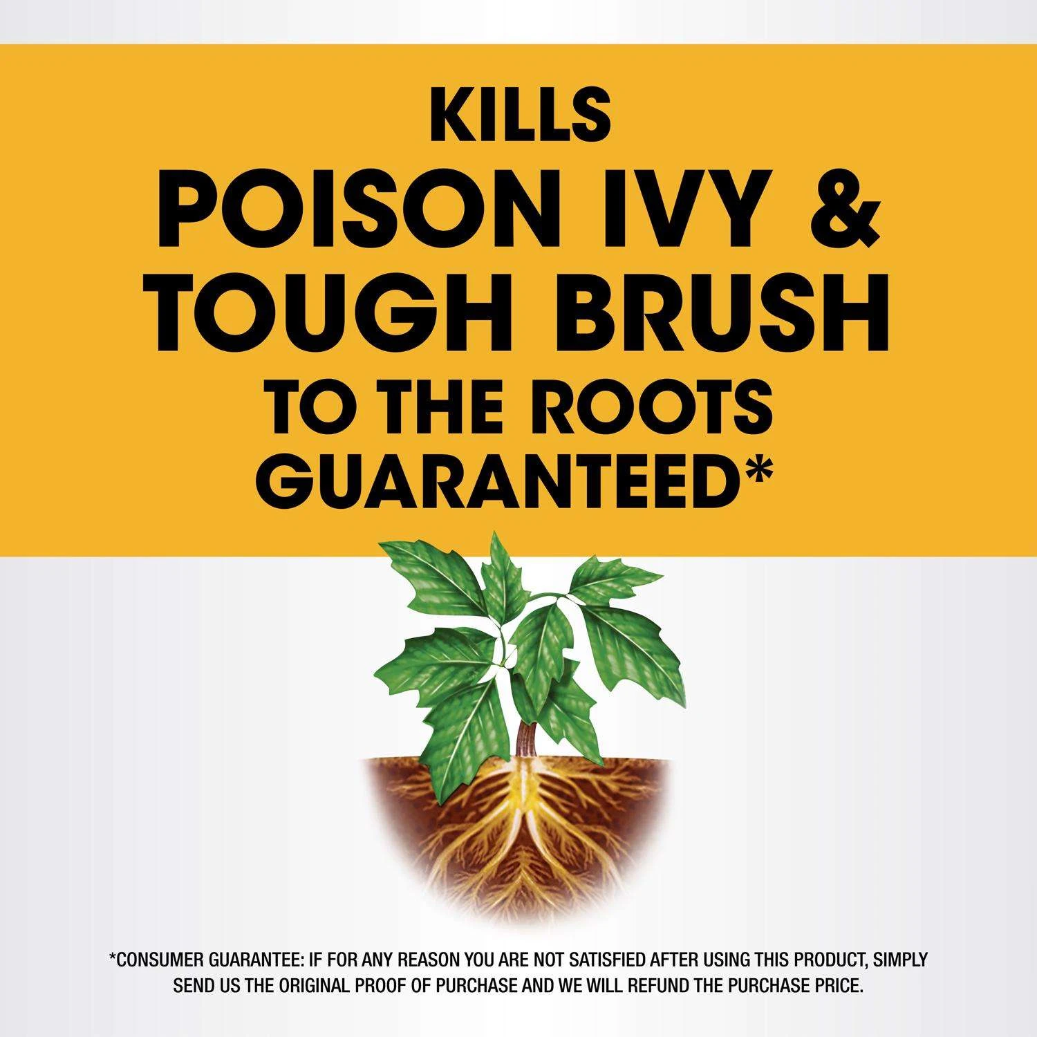 Roundup Poison Ivy Killer RTU Liquid 24 Oz 2 Roundup Poison Ivy Killer RTU Liquid 24 Oz - Image 2