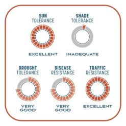 Pennington Smart Patch Bermuda Grass Full Sun Seed/Fertilizer/Mulch Repair Kit 10 Lb -Toro Shop 32f8f617 8f63 4e5a 9b3c a2063ca79f65