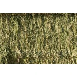 Locally Sourced Hay Alfalfa Bale 2 String