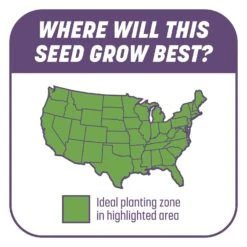 Pennington Smart Patch Mixed Dense Shade Seed/Fertilizer/Mulch Repair Kit 5 Lb -Toro Shop 34e1f644 69c3 4091 8d8c ba2d7849bf94