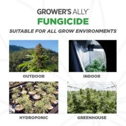 Grower's Ally Organic Liquid Fungicide 24 Oz -Toro Shop 3afd6063 06e6 4730 a82f 4c3f2915ec69