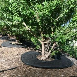 Raindrip For 1/4 In. Tubing Precision Watering Pad 0.5 In. H 1 Pk -Toro Shop 3b3fa0b3 f3cf 42e2 870a 4e0fa0eeb97b