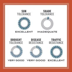 Pennington Smart Seed Texas Bermuda Full Sun Grass Seed And Fertilizer 1.75 Lb -Toro Shop 3b7aaa23 ffc6 4a0c 93ae a6f3e97fae3e