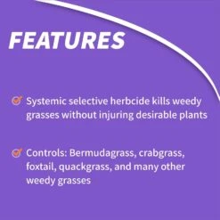 Bonide Grass Beater II Bermudagrass Killer Concentrate 8 Oz -Toro Shop 408e0cdc 0792 4a6d 8933 c1eaa8c3a443