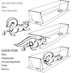 Grandpa Gus's Small Live Catch Animal Trap For Chipmunks 2 Pk -Toro Shop 41f85b86 8190 494f 9323 505aef63cb98