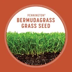 Pennington Bermuda Grass Full Sun Grass Seed 15 Lb -Toro Shop 42b771d1 25c3 4d0d ba9c b71c759c4daf