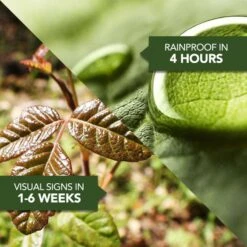 BioAdvanced Brush Killer RTU Liquid 1.3 Gal -Toro Shop 45909994 169a 4163 b69c 62fe53fa72c8