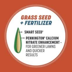 Pennington Smart Seed Texas Bermuda Full Sun Grass Seed And Fertilizer 1.75 Lb -Toro Shop 46b71286 894a 43c8 bf24 b177f33f5ea2