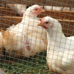 IronRidge 30 In. H X 10 Ft. L Galvanized Steel Welded Wire Fence 1 In. 9 IronRidge 30 In. H X 10 Ft. L Galvanized Steel Welded Wire Fence 1 In. -Toro Shop 49f09ff9 54a2 41bd 8848 4cea642923d4