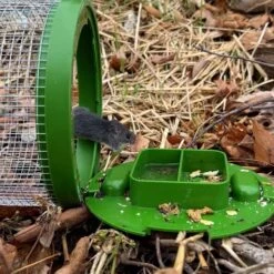 Billy Bob Multiple Catch Cage Trap For Mice 1 Pk 9 Billy Bob Multiple Catch Cage Trap For Mice 1 Pk -Toro Shop 4c900f55 0d09 4589 98a9 f7ac177a7cf6