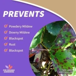 Bonide Rose Organic Crawling Insect Killer Liquid 32 Oz -Toro Shop 4e5b32ab 4b22 44c3 bacf 6def1fb9d212