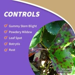 Bonide All Seasons Organic Horticultural Spray Oil Liquid 32 Oz -Toro Shop 5191e023 71c4 4053 b8ab 3ab9fdf5a077